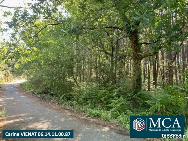 Terrain 508 m² Sanguinet 