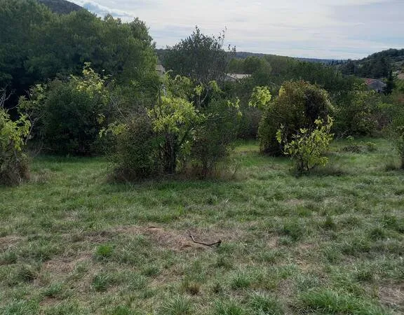 Terrain 5354 m² 