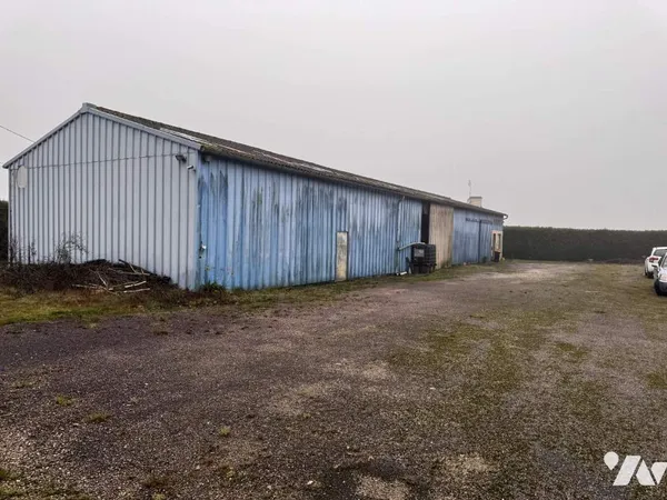 Local 1 pièce 350 m² 