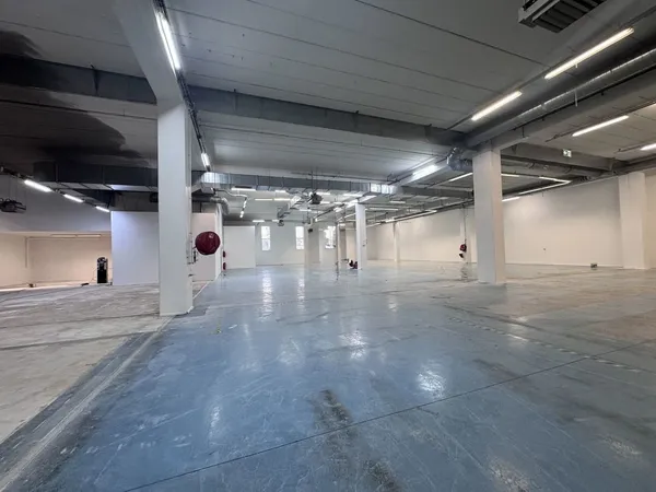Locaux d'activité - A LOUER - 3 531 m² divisibles à partir de 282 m² 