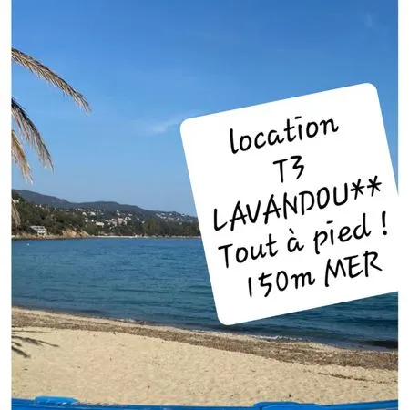 T3 À ANNÉE TOUT À PIED 150m PLAGE PISC PKG 