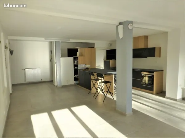 Appartement T3 90 m² de caractère, terrasse et jardin sur Vernaison 