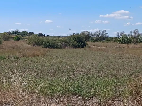 Terrain 968 m² 