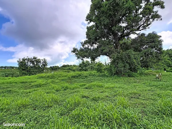 Terrain 1828 m² Trinité 