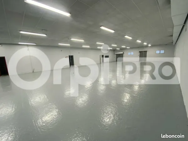 Local d'activité 1 180 m² 