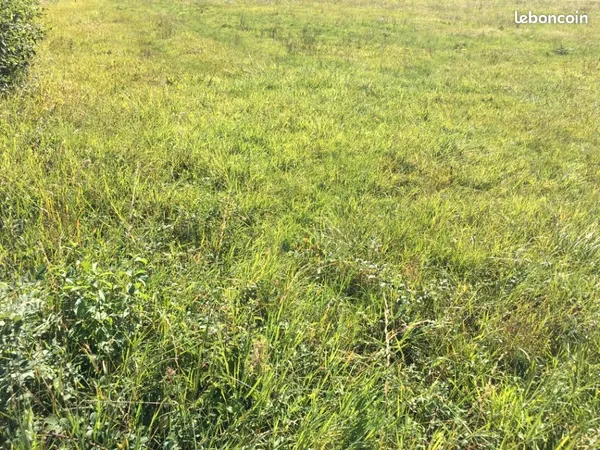 Terrain 715 m² Grieges 