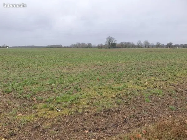 Terrain 800 m² 
