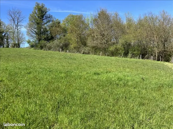 Terrain 2 316 m² Saillat Sur Vienne 