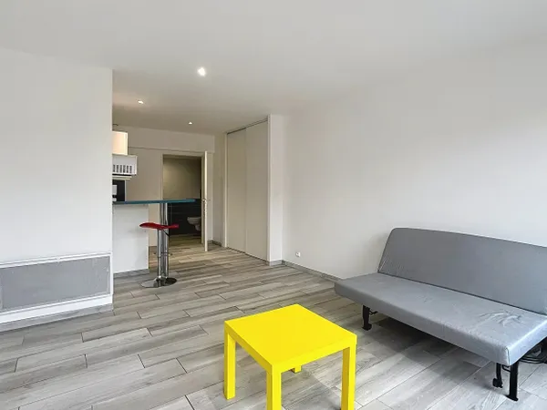 À louer en meublé: Charmant T1 de 29 m² avec terrasse et parking - 