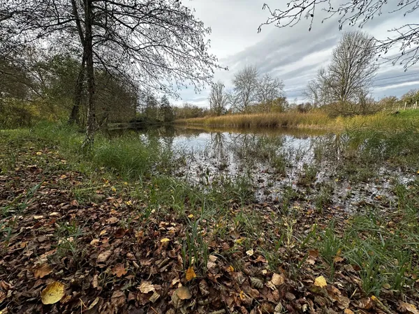 Terrain de loisir - AVRILLE LES PONCEAUX 