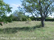 A VENDRE - INGRANNES - TERRAIN A BATIR 