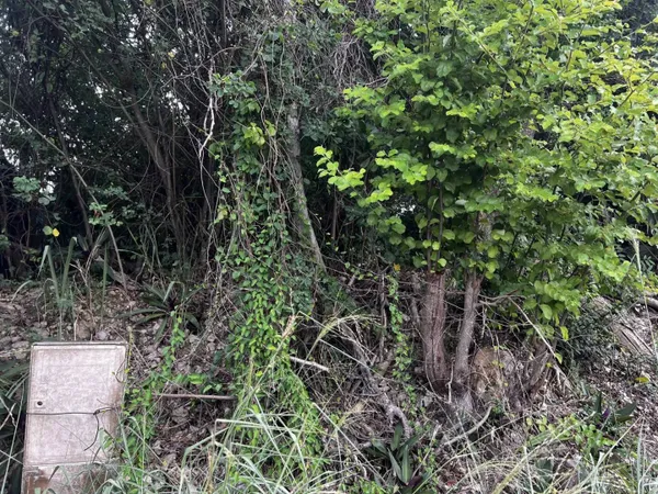 Terrain 1200 m² 