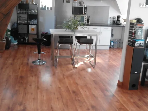 Appartement T2 55 M² + garage 