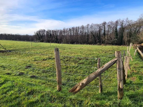 Terrain à bâtir 1037 m² 