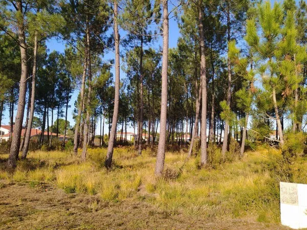 Terrain 4013 m² 