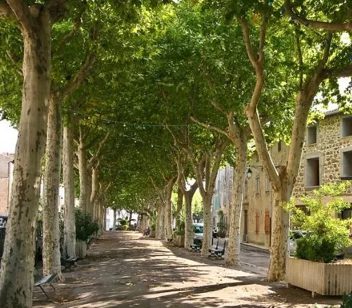 Maison 3 pièces 44 m² 