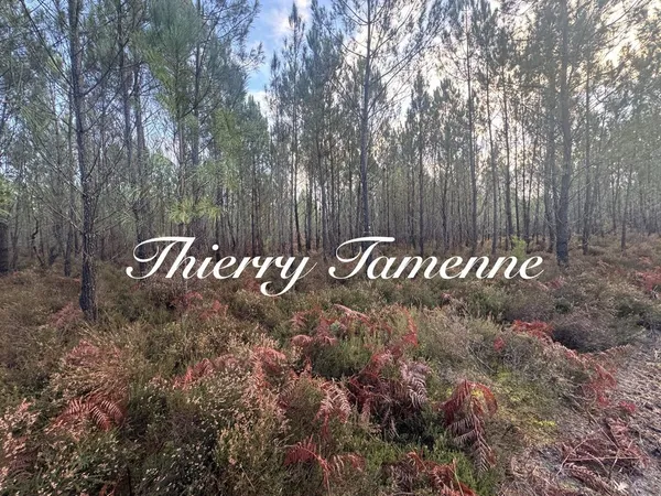 Terrain Vente Préchac  40400m² 25000€