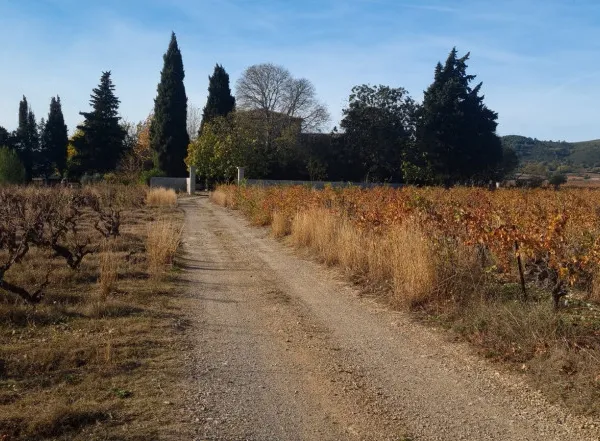 Maison de maître 10 pièces 691 m² 