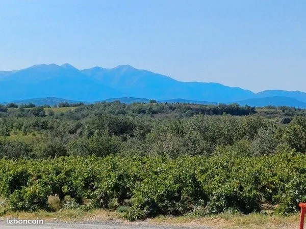 🔥 RARE - Terrain à bâtir à Tresserre - Entre mer, montagne et Espagne 