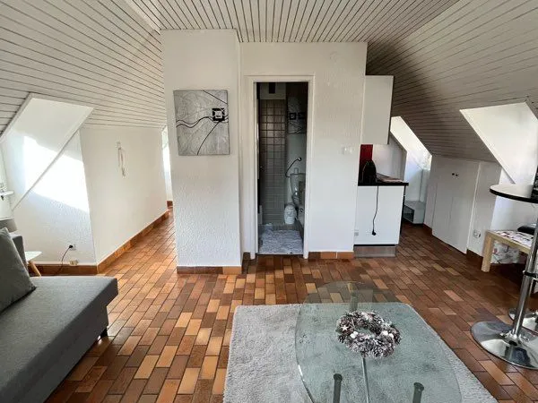 Appartements meublé hyper centre colmar 