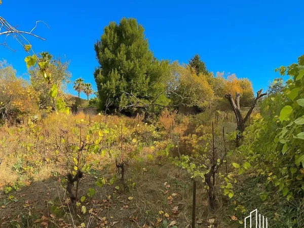 Terrain 598 m² 