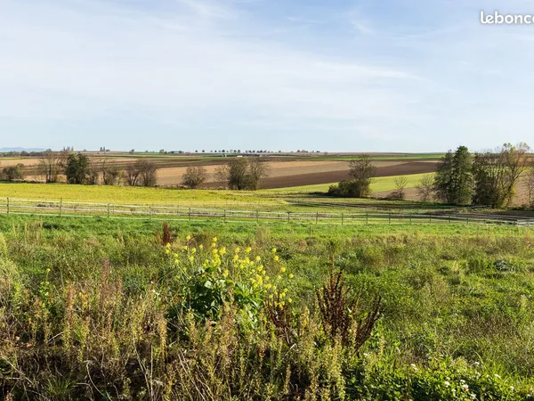 Terrain 407 m² Osthoffen 