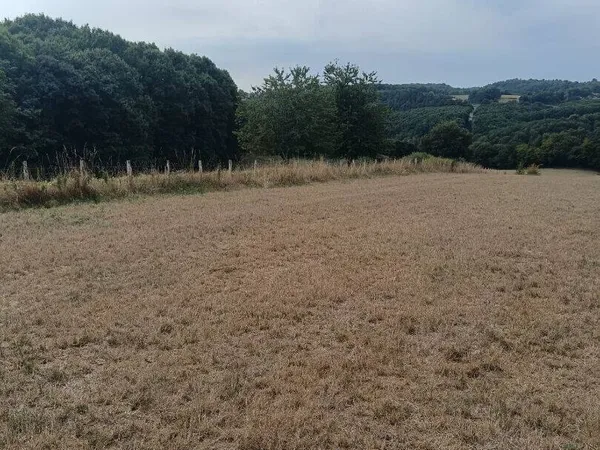 Terrain 4901 m² 