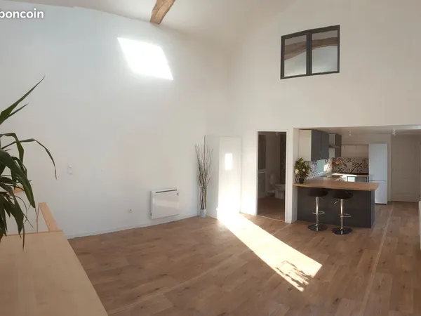 Appart double hauteur lumineux 