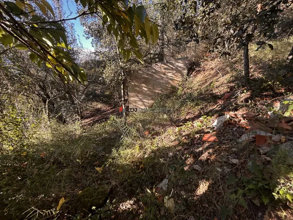 Terrain Vente Reynès   38500€