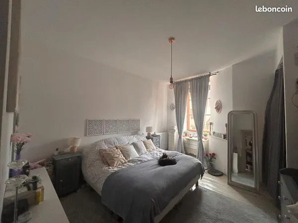 Magnifique appartement renové centre ville 