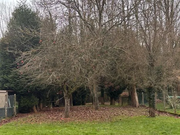 Terrain 1885 m² Vallangoujard 