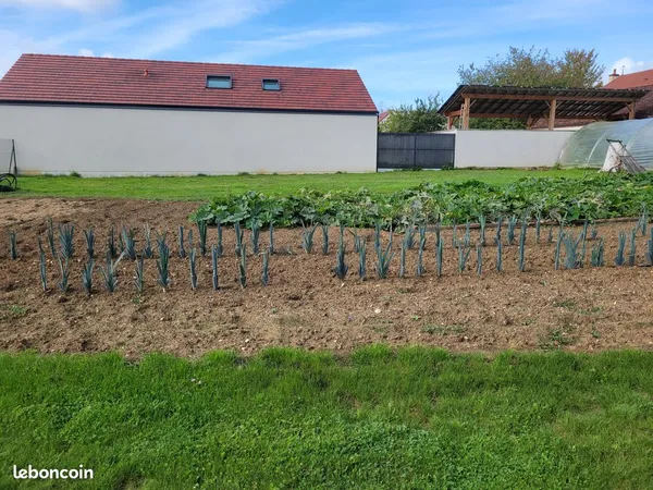 Terrain constructible viabilisé de 581 m2 à Noiron sous Gevrey 