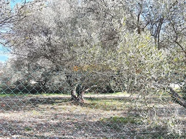 Terrain 1500 m² 