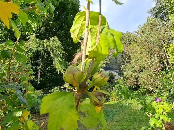 Propriété 1 pièce 