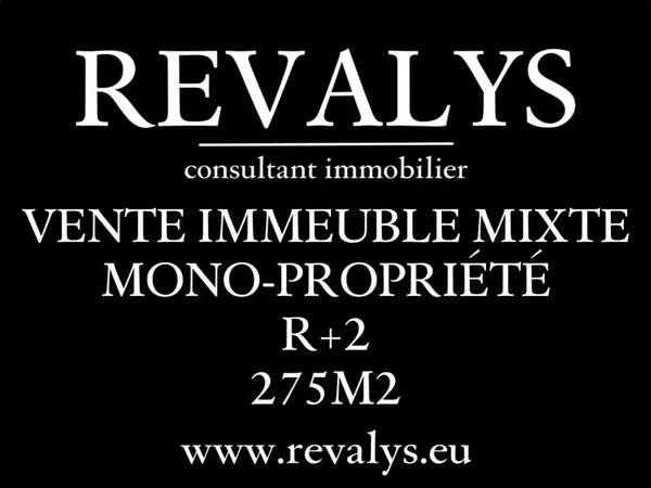 Immeuble 275 m² 