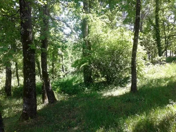 Terrain constructible 2219 m² 