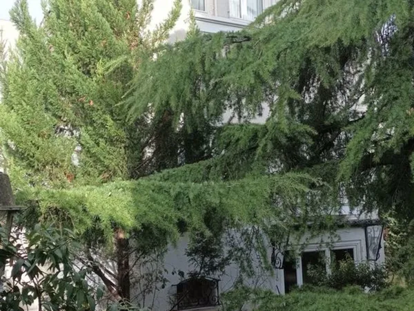 Maison ancienne au calme sans mitoyenneté avec beau jardin 