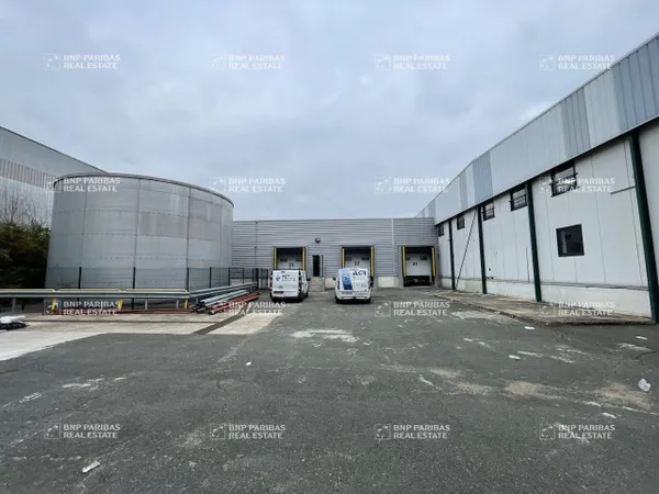 Entrepôt 1955 m² 