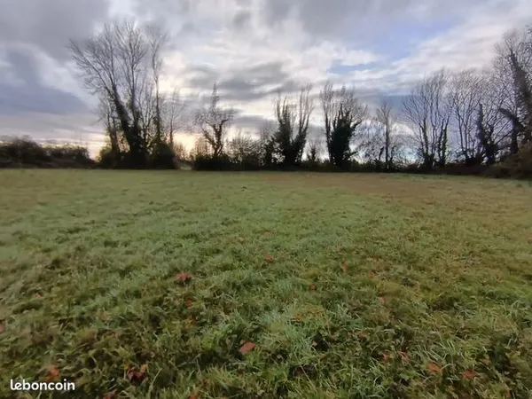 Terrain 25000 m² 