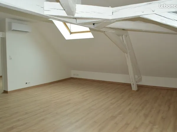 Appartement climatisé avec du charme et entièrement refait à neuf 