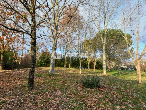 Terrain 1000 m² 