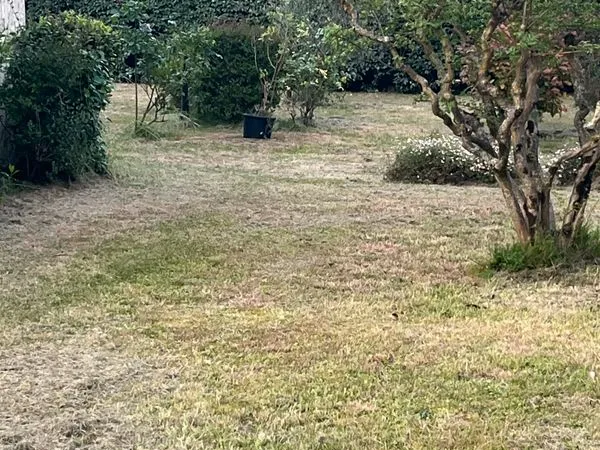 Beau Terrain à bâtir 