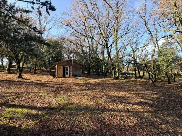 Terrain 3205 m2 