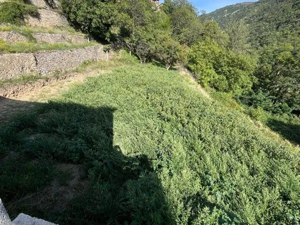 Terrain viabilisé 1000m2 