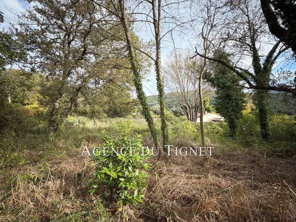 vente terrain 
