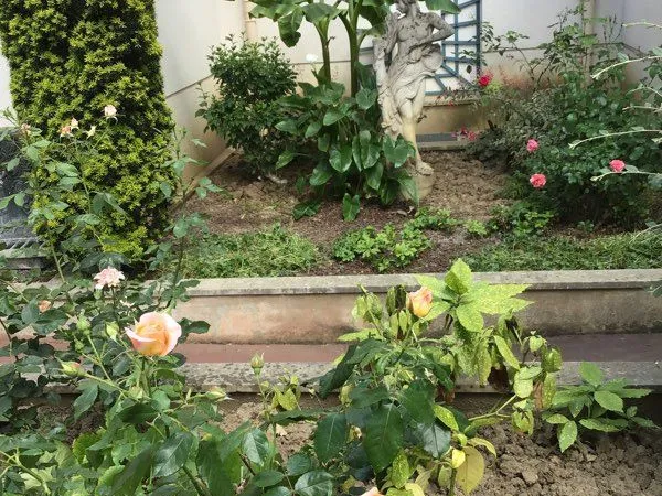 Appartement Location Saint-Maur-des-Fossés 2p 45m² 950€
