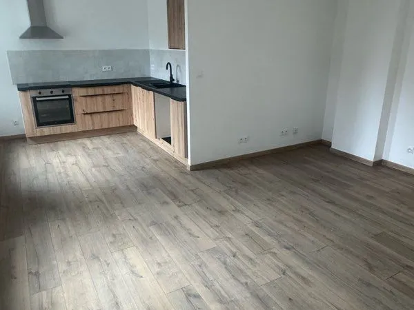 Sarrebourg - Centre-ville | Appartement refait à neuf - 2 chambres 