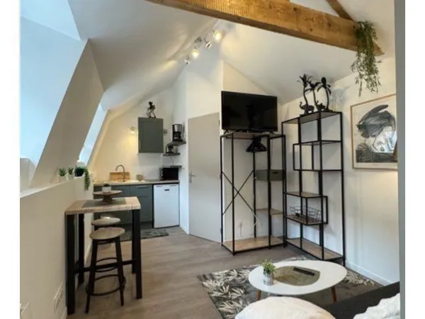 À louer studio 27m2 Hôtel de Ville 