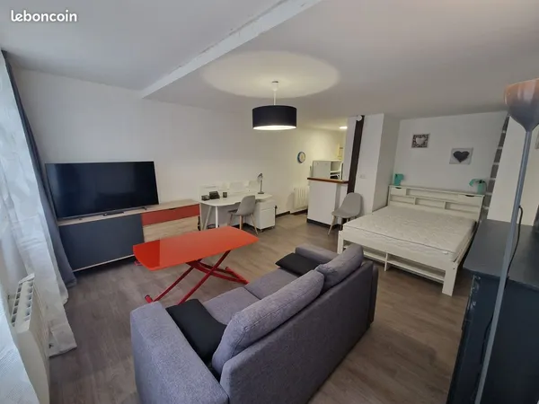 T1 meublé en hypercentre 