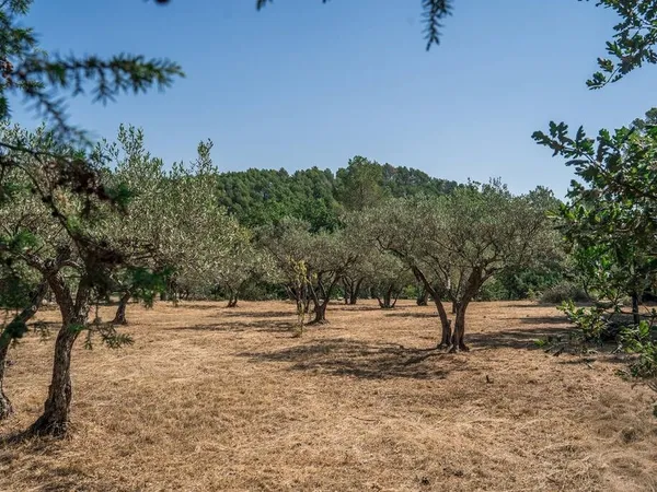 A VENDRE ! FLAYOSC TERRAIN 1615 m² - Libre Constructeur 